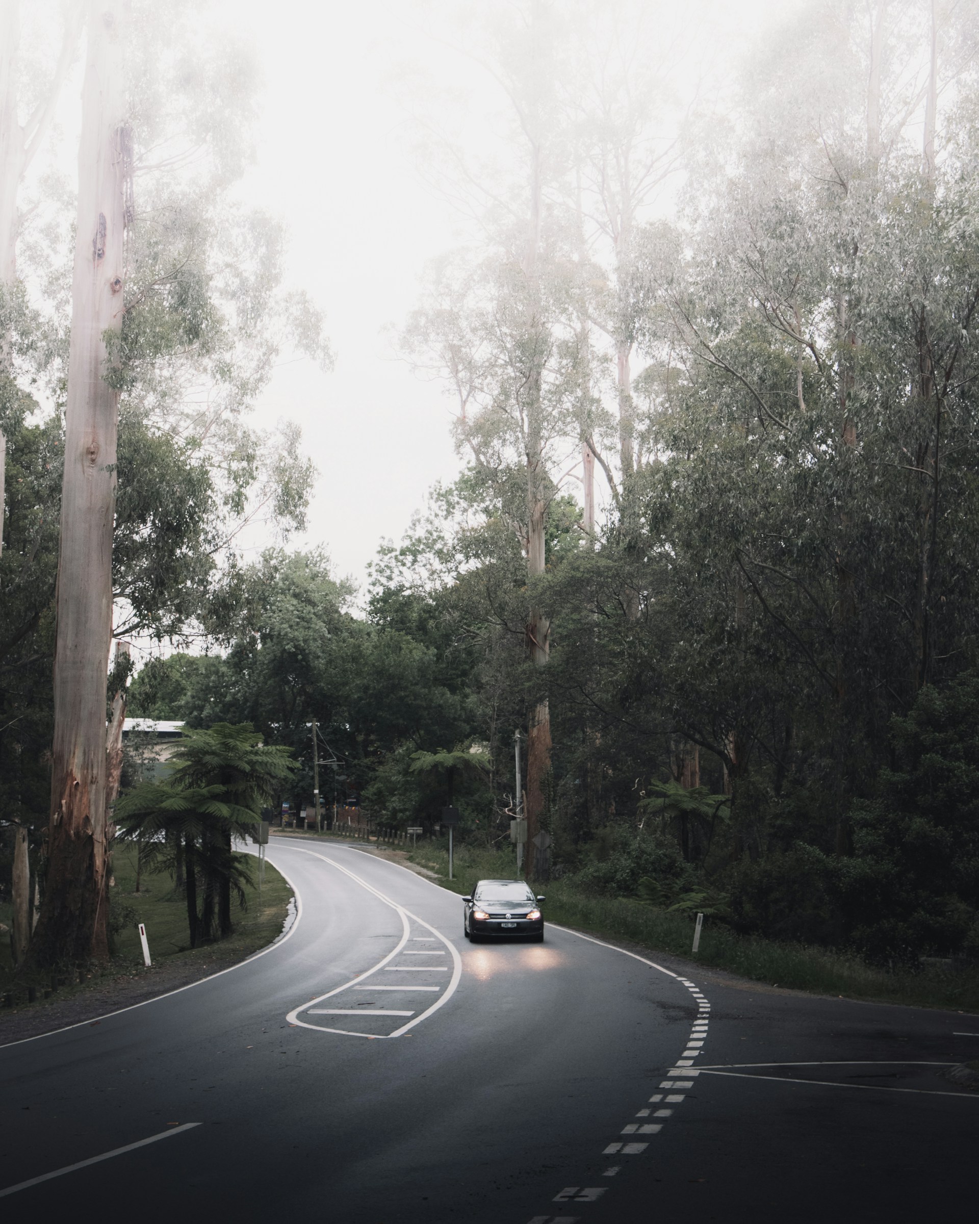 Car Banner